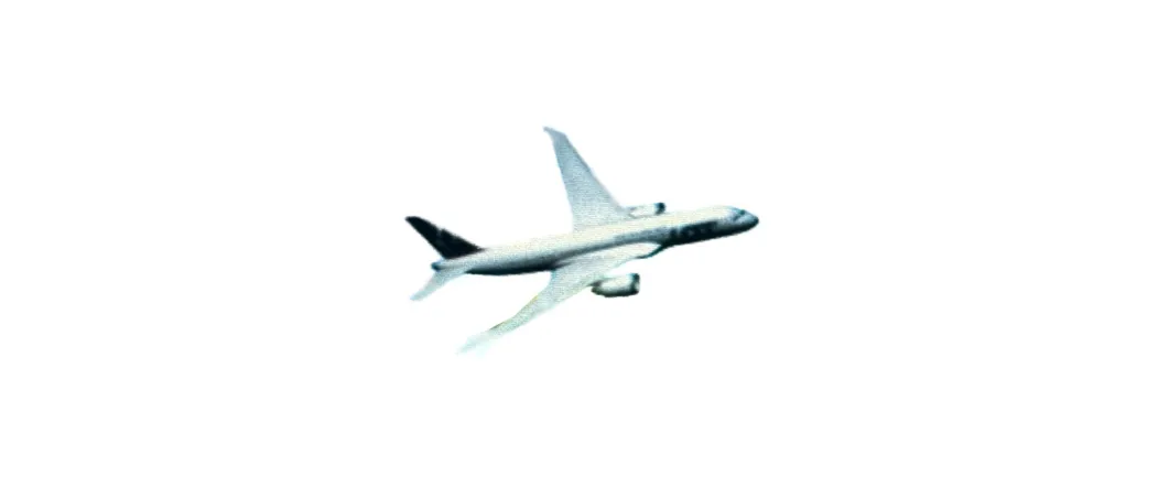 flight-np